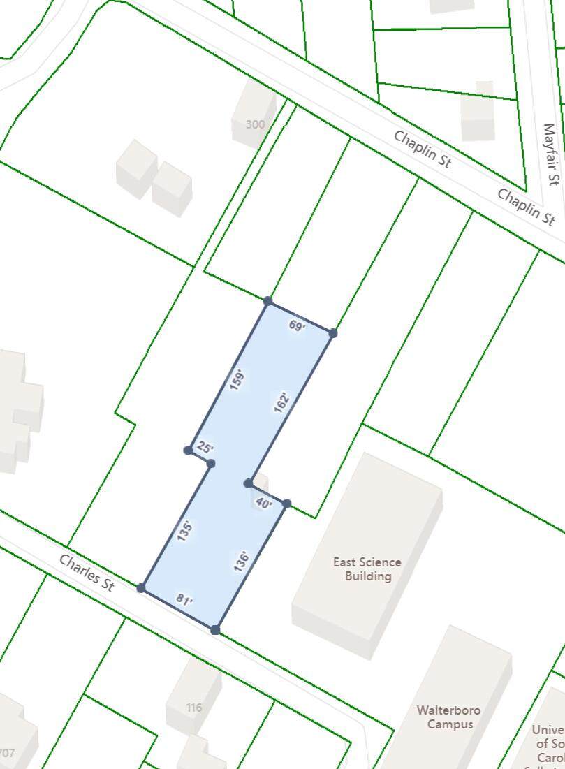 113 Charles Street - Photo 1