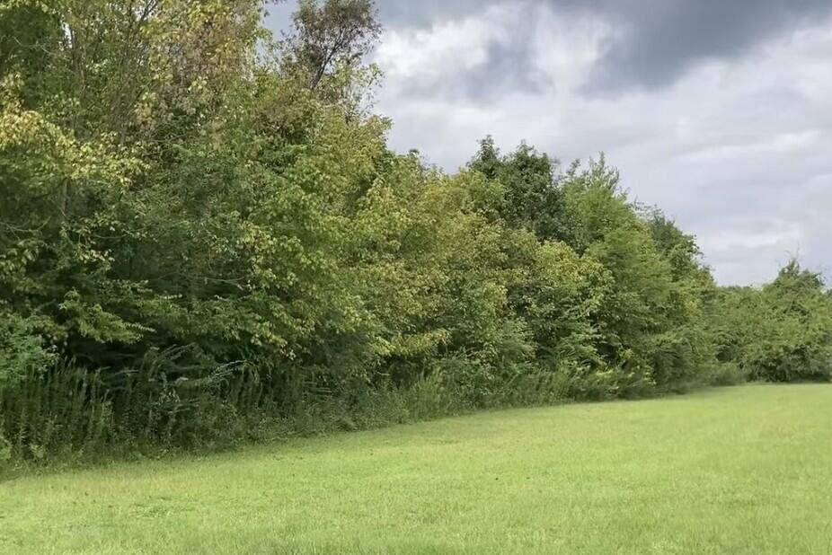 423 Furman Lane - Photo 1