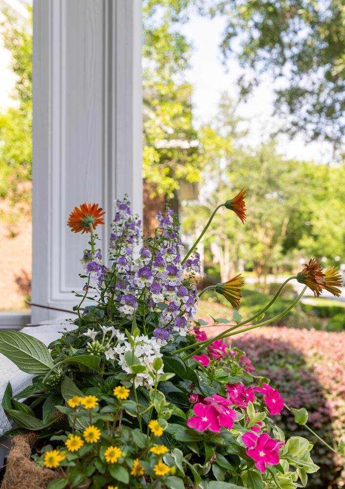 https://bt-photos.global.ssl.fastly.net/charleston/1280_boomver_1_26015077-2.jpg