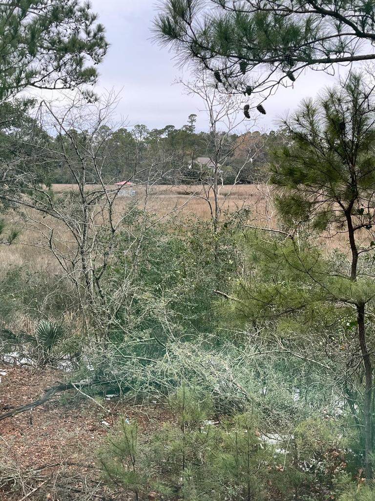 https://bt-photos.global.ssl.fastly.net/charleston/1280_boomver_1_26018466-2.jpg