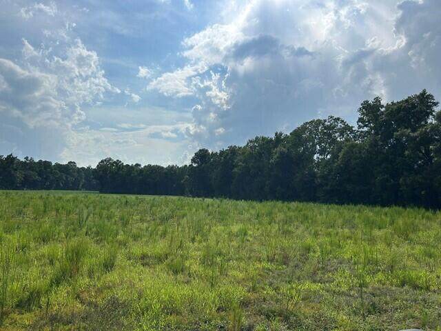 Lot 1 7 Mile Road - Photo 1