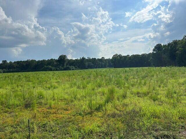 Lot 2 7 Mile Road - Photo 1