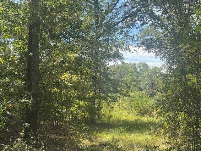 1651, 1571 Creek Mill Road - Photo 1