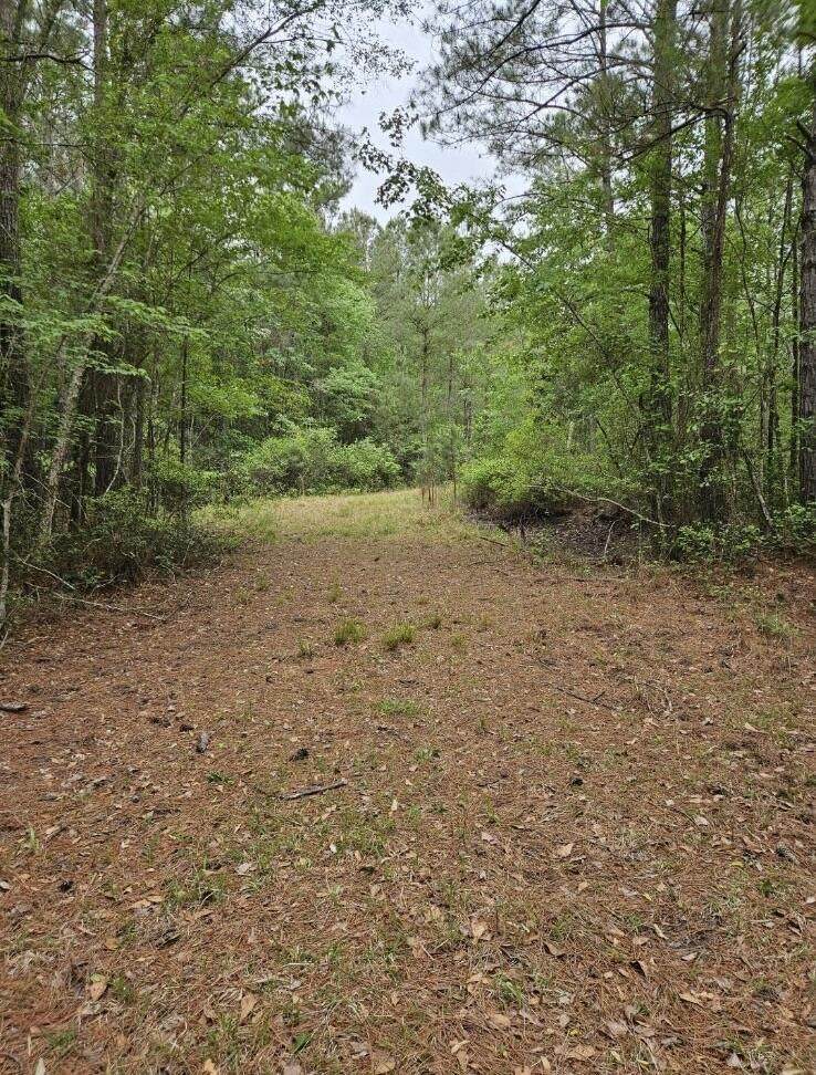 https://bt-photos.global.ssl.fastly.net/charleston/orig_boomver_1_26025651-2.jpg