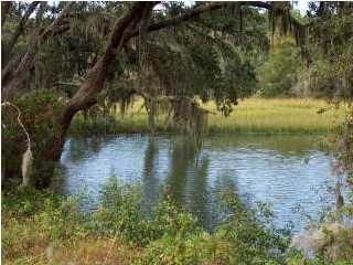 0 Fenwick Plantation Road - Photo 1