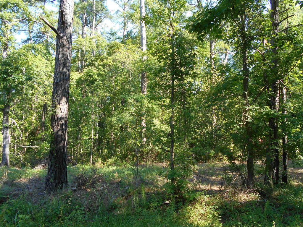 0 Old Georgetown Road - Photo 1
