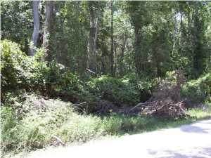 0 Gate Road - Photo 1