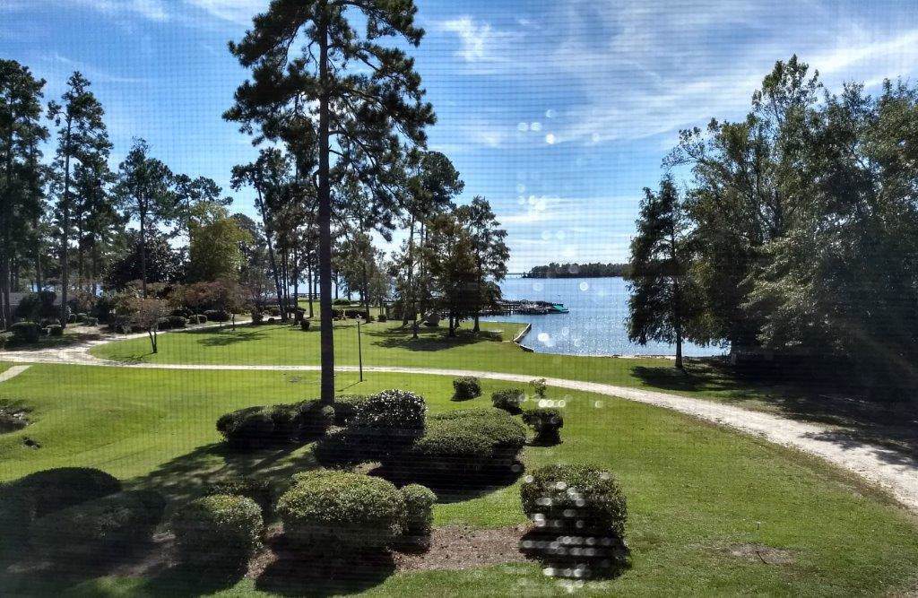 1107 Cypress Pointe - Photo 1