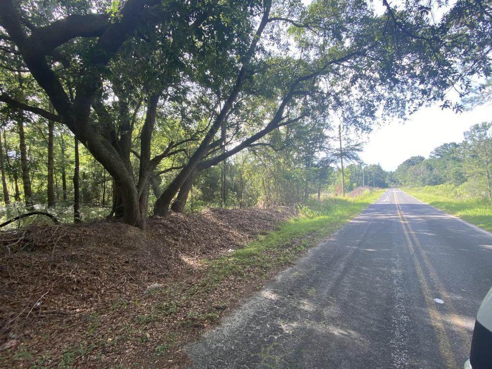 181 Spann Circle - Photo 1