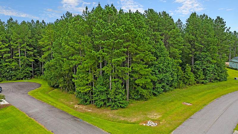1001 Beak Rush Court - Photo 1