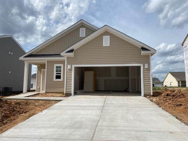 425 Eva Street - Photo 1