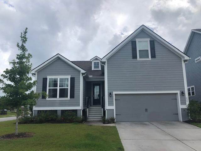 220 Red Knot Lane - Photo 1