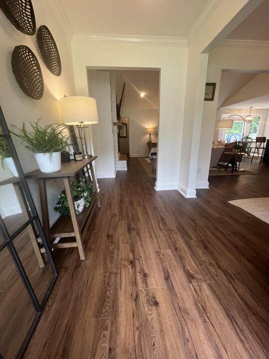 1008 Law Lane - Photo 1