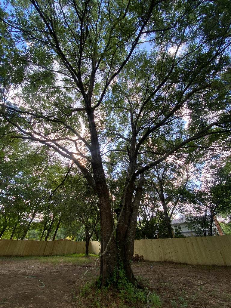 653 Kent Street - Photo 1