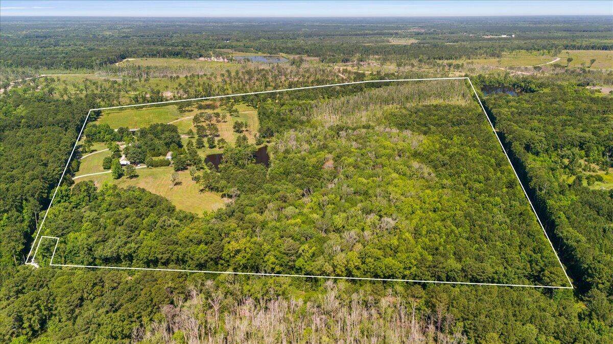 6397 Spring Grove Road - Photo 1