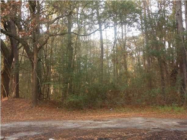 8046 Cedar Hall Road - Photo 1