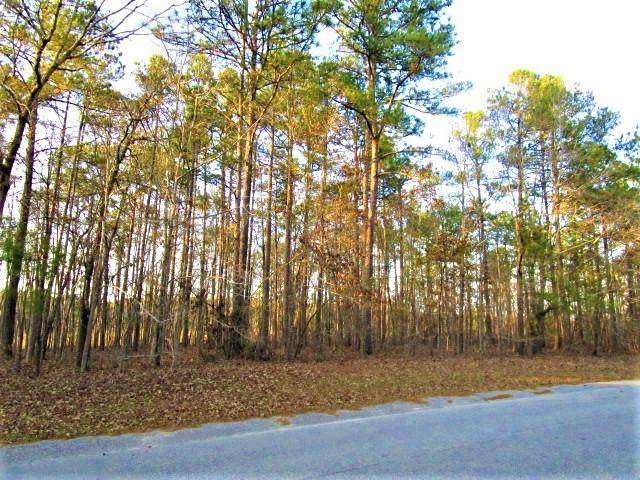 Lot 59 Sorin Circle - Photo 1