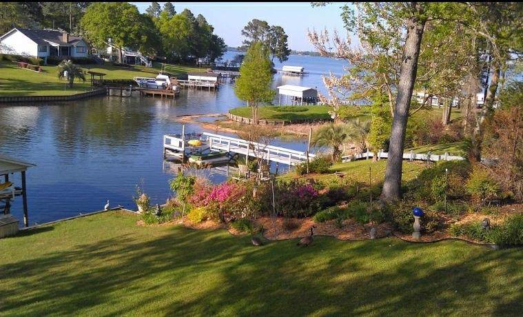 314 Broad River Drive - Photo 1