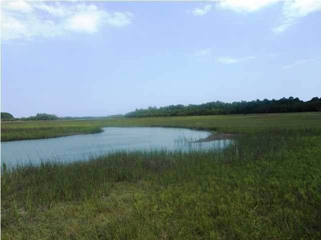 0 Point Of Pines Road - Photo 1