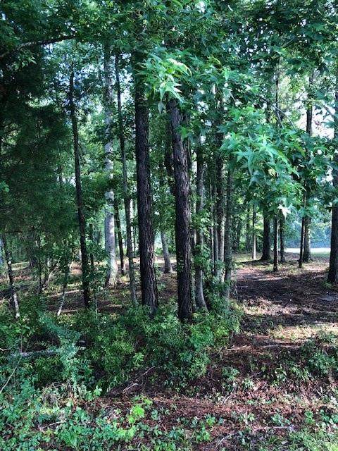 4842 Marshwood Drive - Photo 1