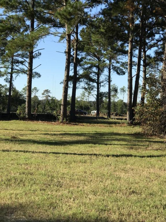 201 Black Powder Street - Photo 1