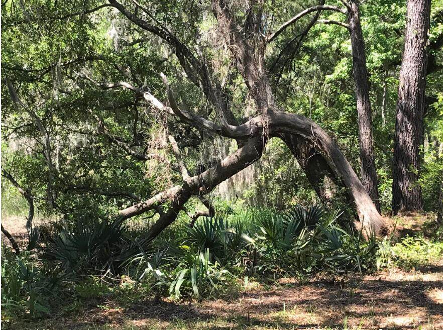 https://bt-photos.global.ssl.fastly.net/charleston/orig_boomver_5_26008800-2.jpg