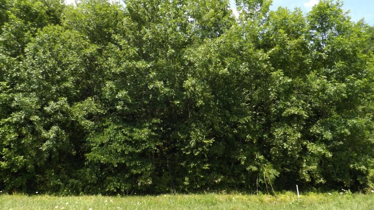 3.4 Acres Rhea County Hwy - Photo 1