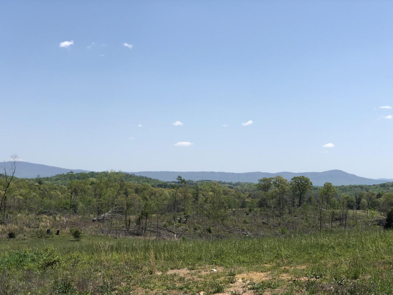 .51 Ac Turkey Hill Lane - Photo 1