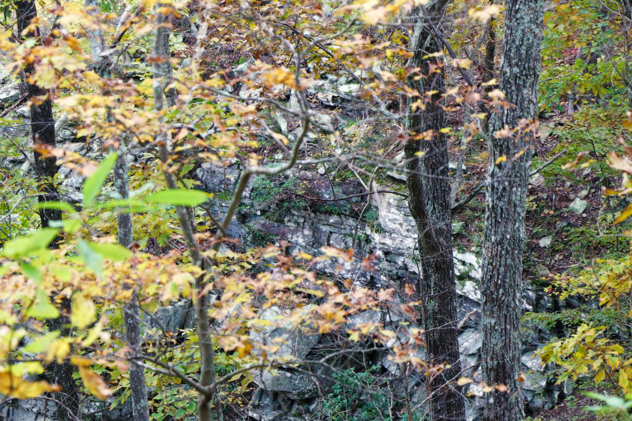 0 Bridal Veil - Photo 1