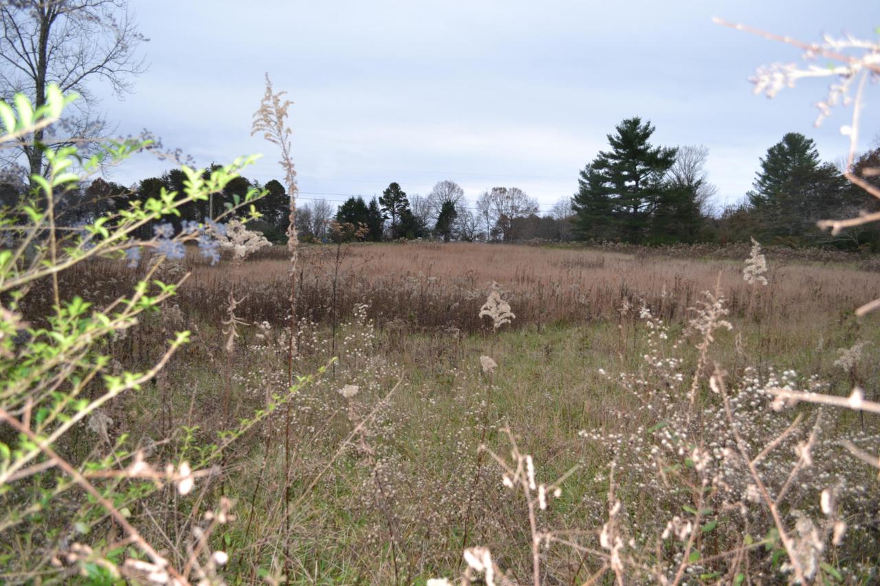 0 Clifford Dykes Rd - Photo 1
