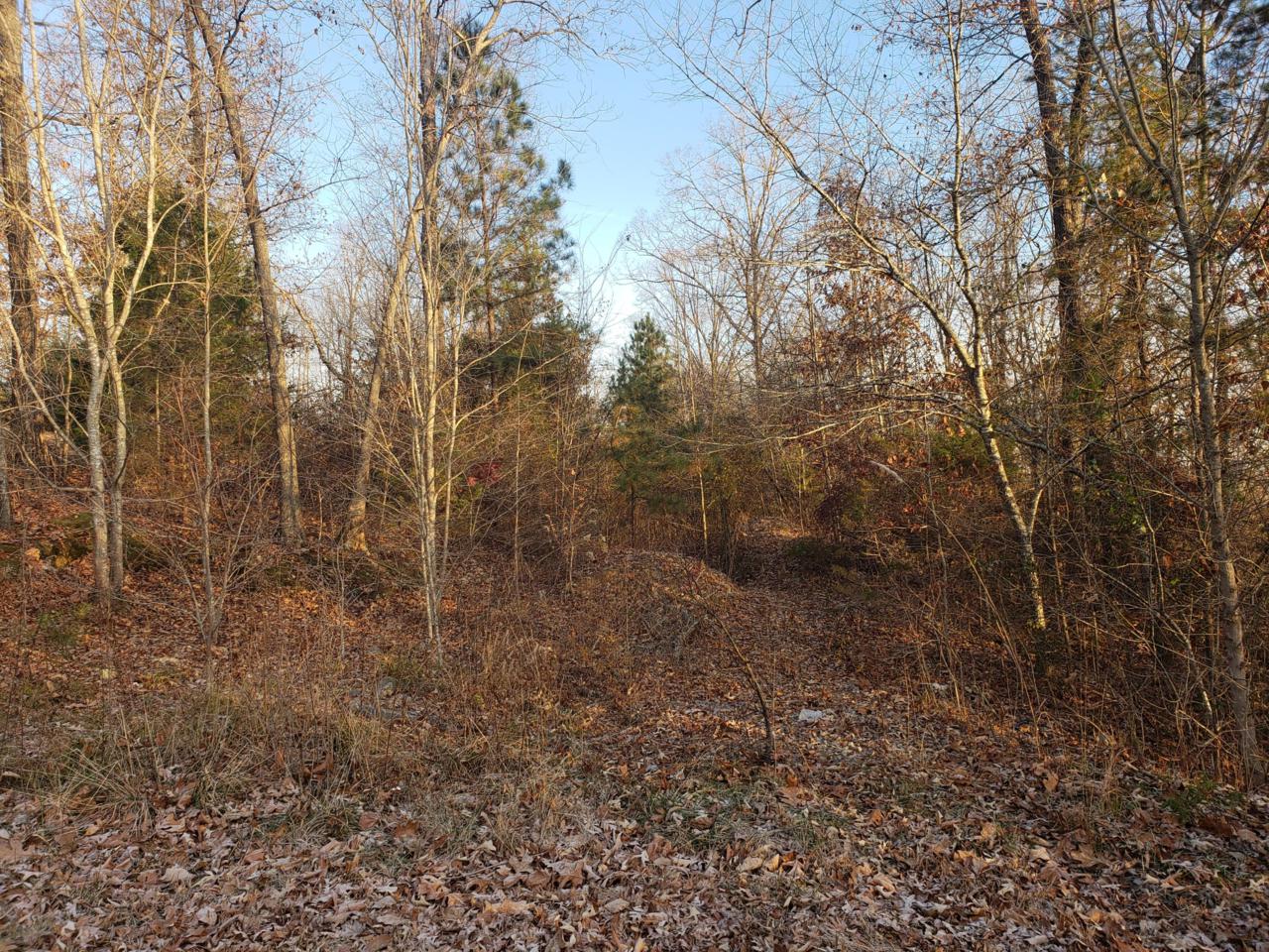 0 Oakstone Way - Photo 1