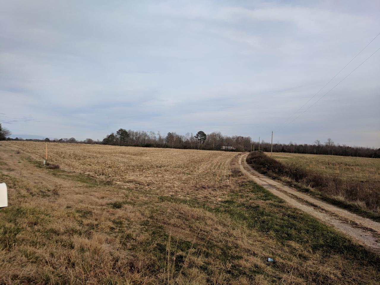 12162 Al Hwy 71 - Photo 1