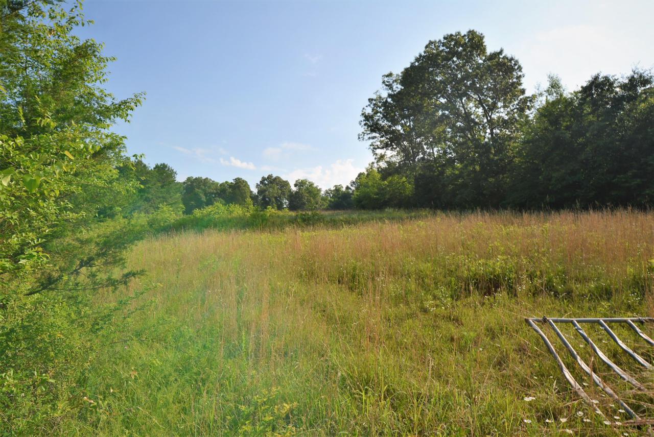 2456 Parksville Rd - Photo 1
