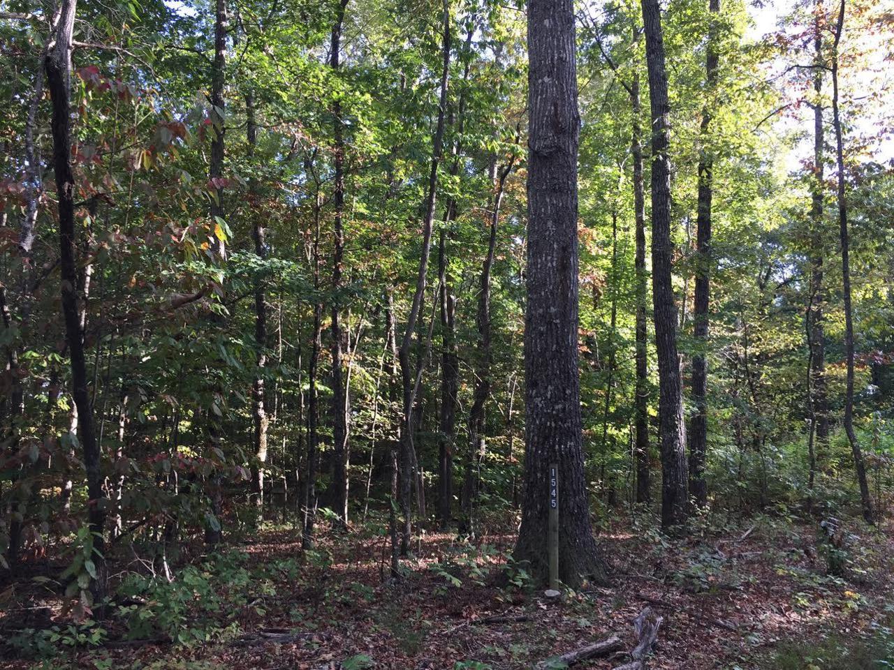 1545 Hendon Rd - Photo 1