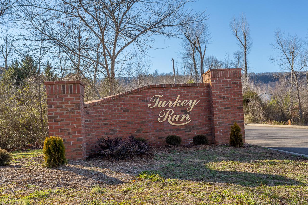 Lot 16 Turkey Run - Photo 1