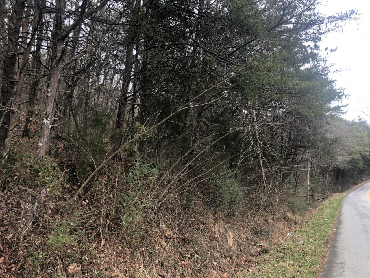 0 Back Valley Rd - Photo 1