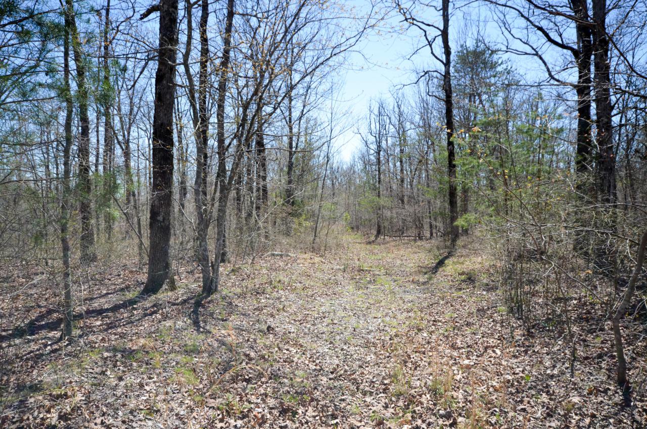 0 Hunters Trail Way - Photo 1