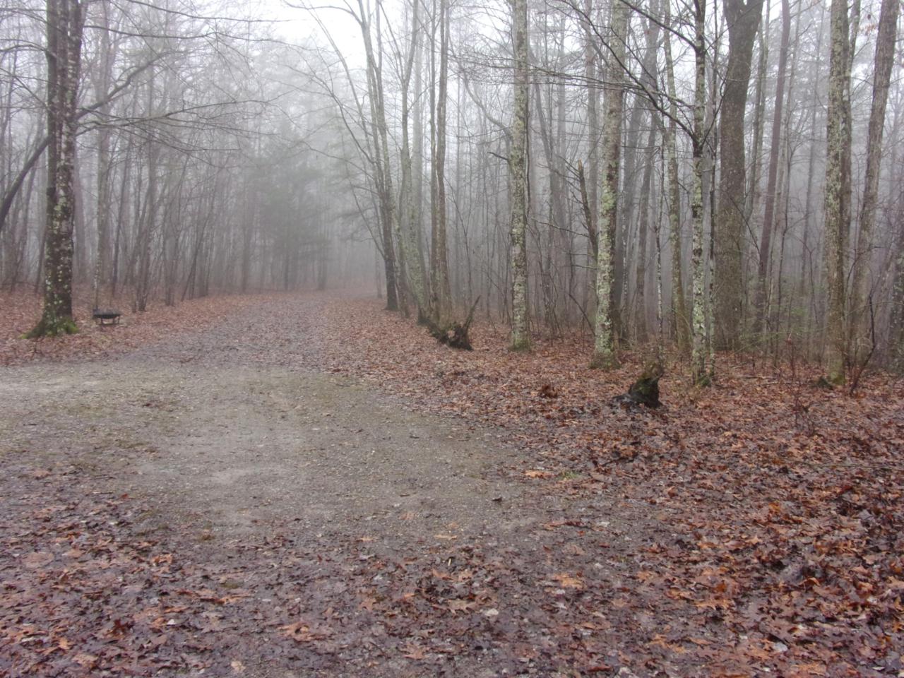 0 Maple Ln - Photo 1