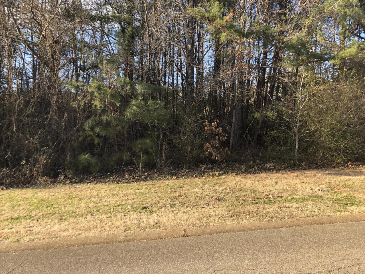 7031 River Run Dr - Photo 1