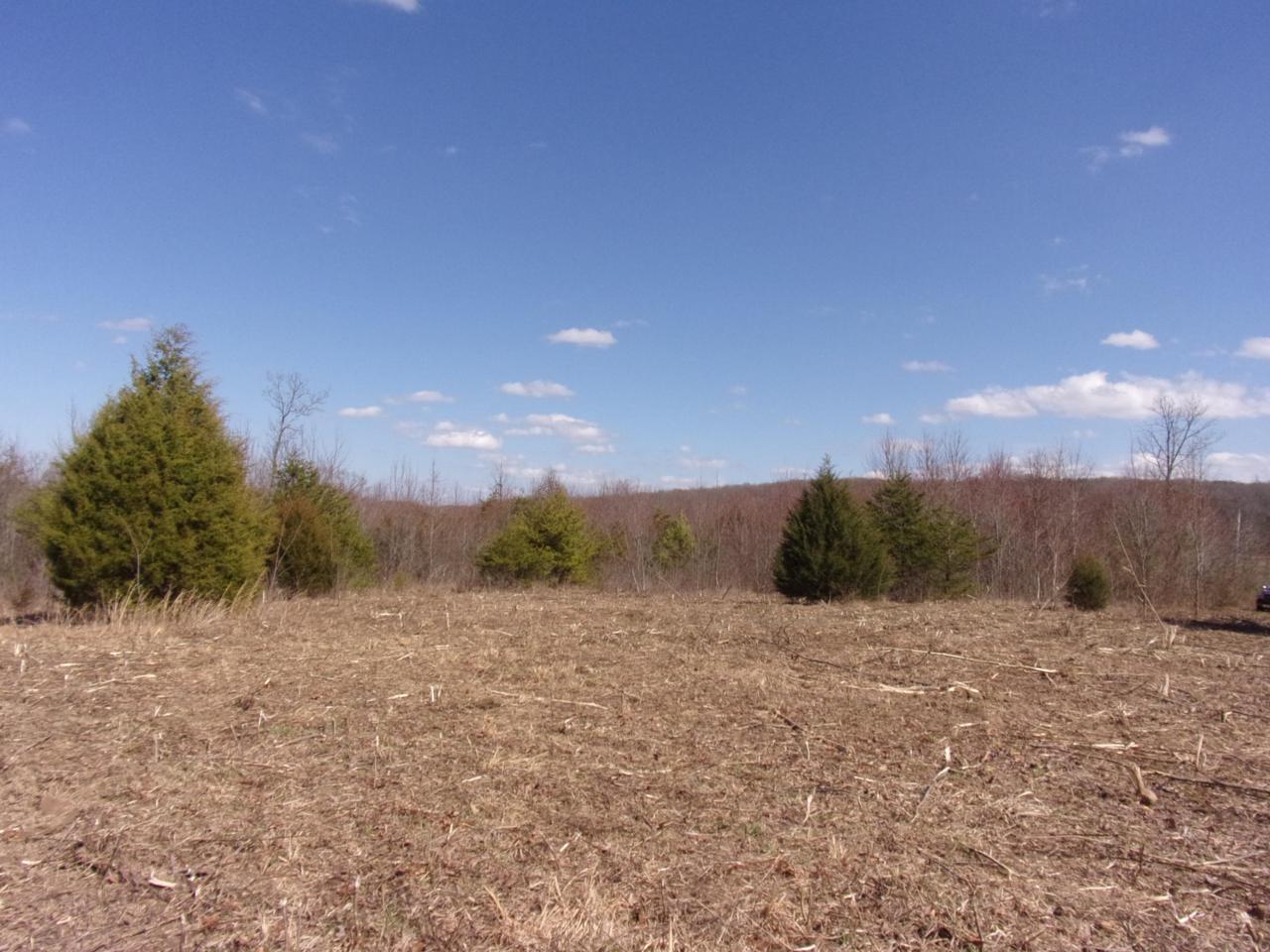 0 Brewer Rd - Photo 1