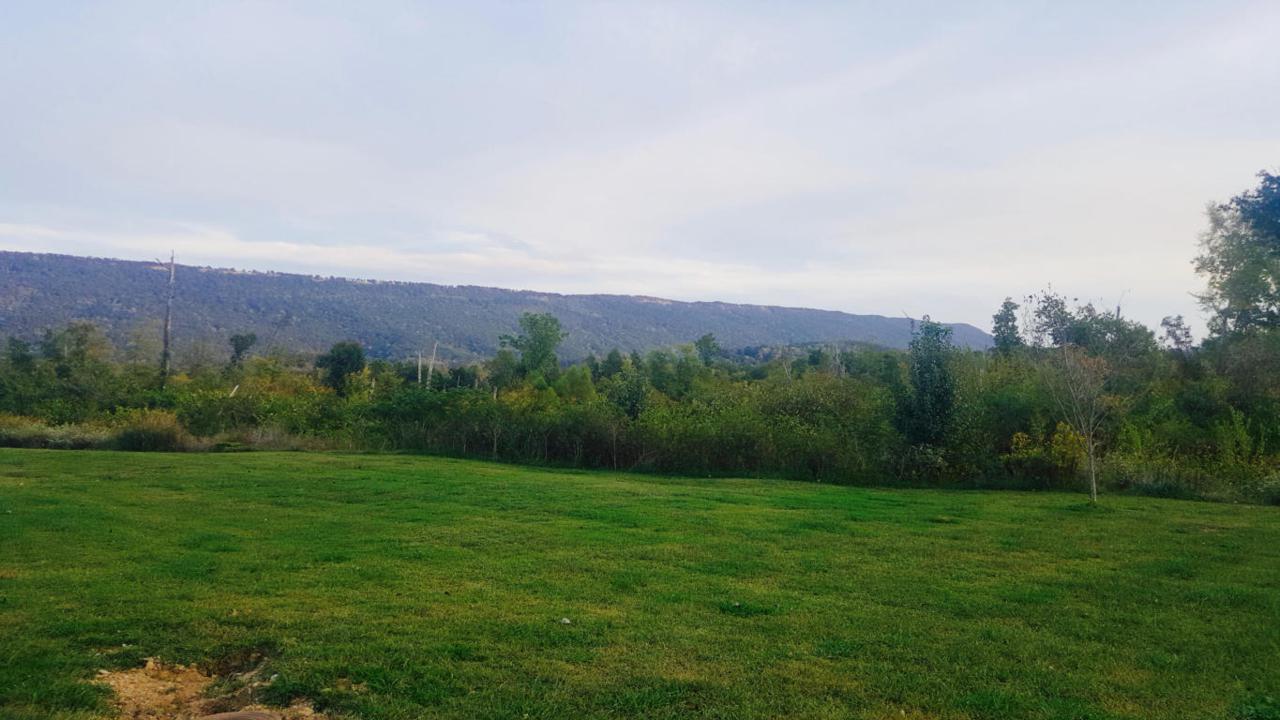 0000 Mckaig Rd - Photo 1