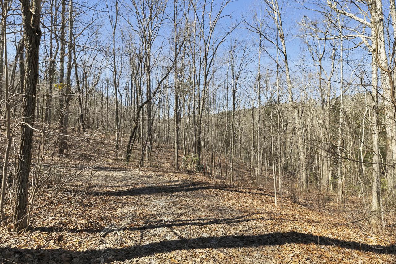 0 Brock Creek Tr - Photo 1