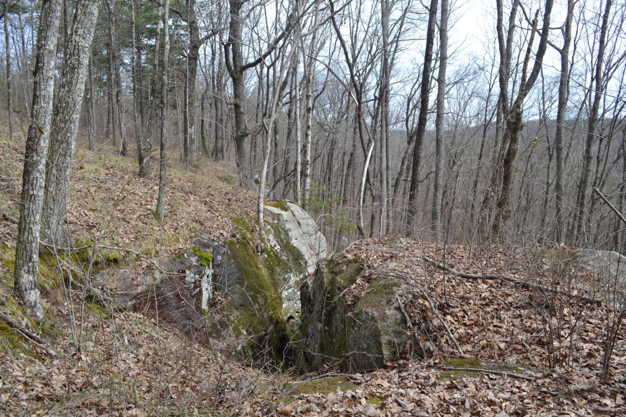 54.38ac Palmer Firetower Rd. - Photo 1