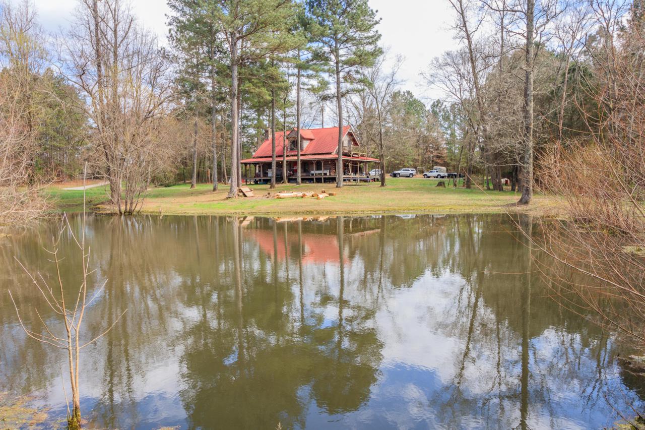 268 Homer Cagle Rd - Photo 1