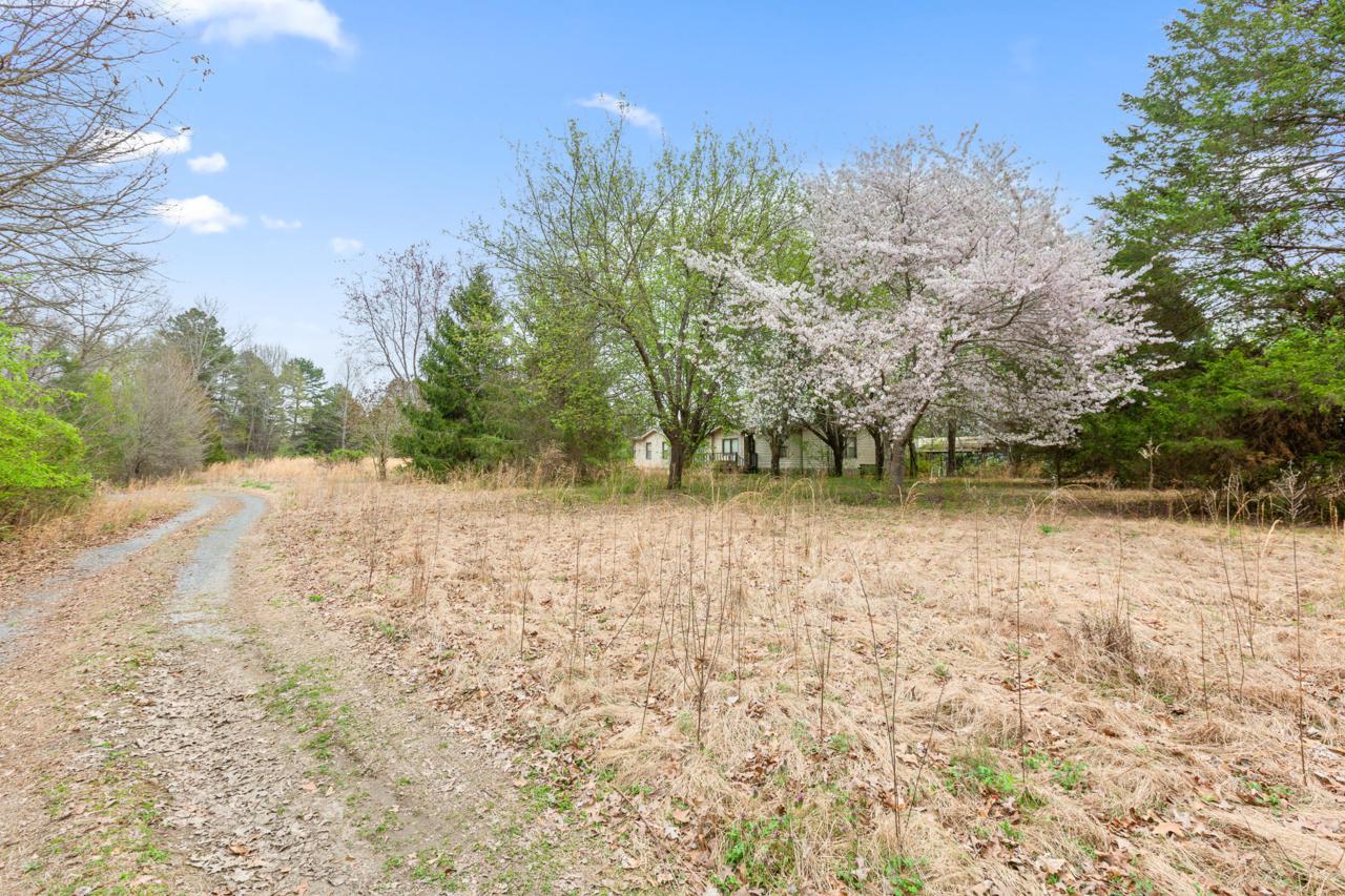 7423 Sims Rd - Photo 1