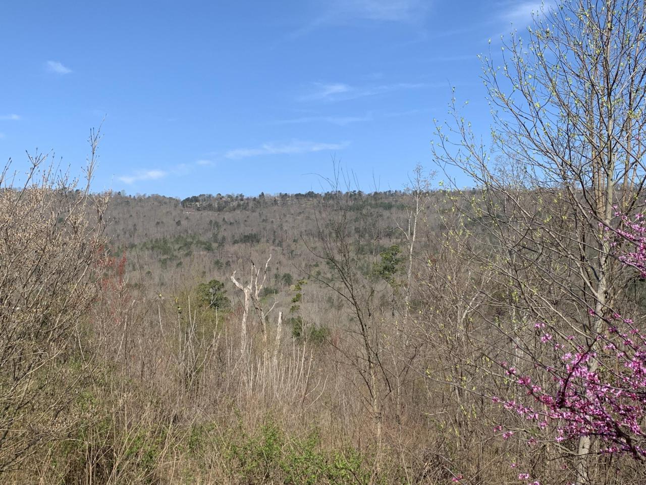 302 Wind Ln - Photo 1