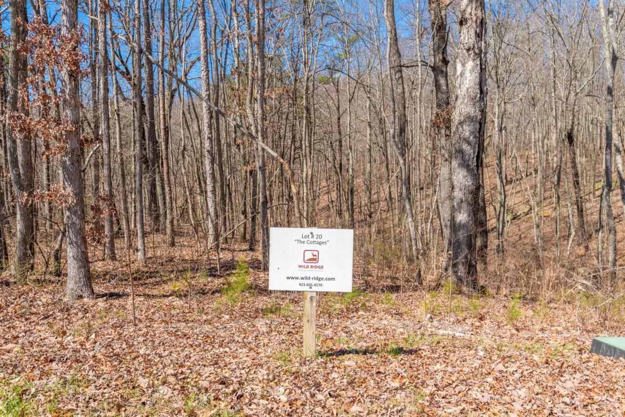 3507 Sweetshrub Way - Photo 1