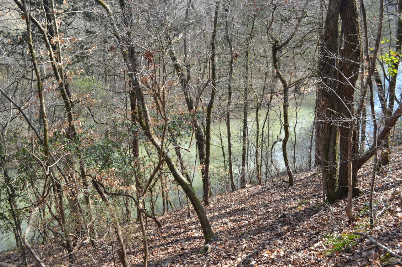 25ac Howard Beavert Rd. - Photo 1