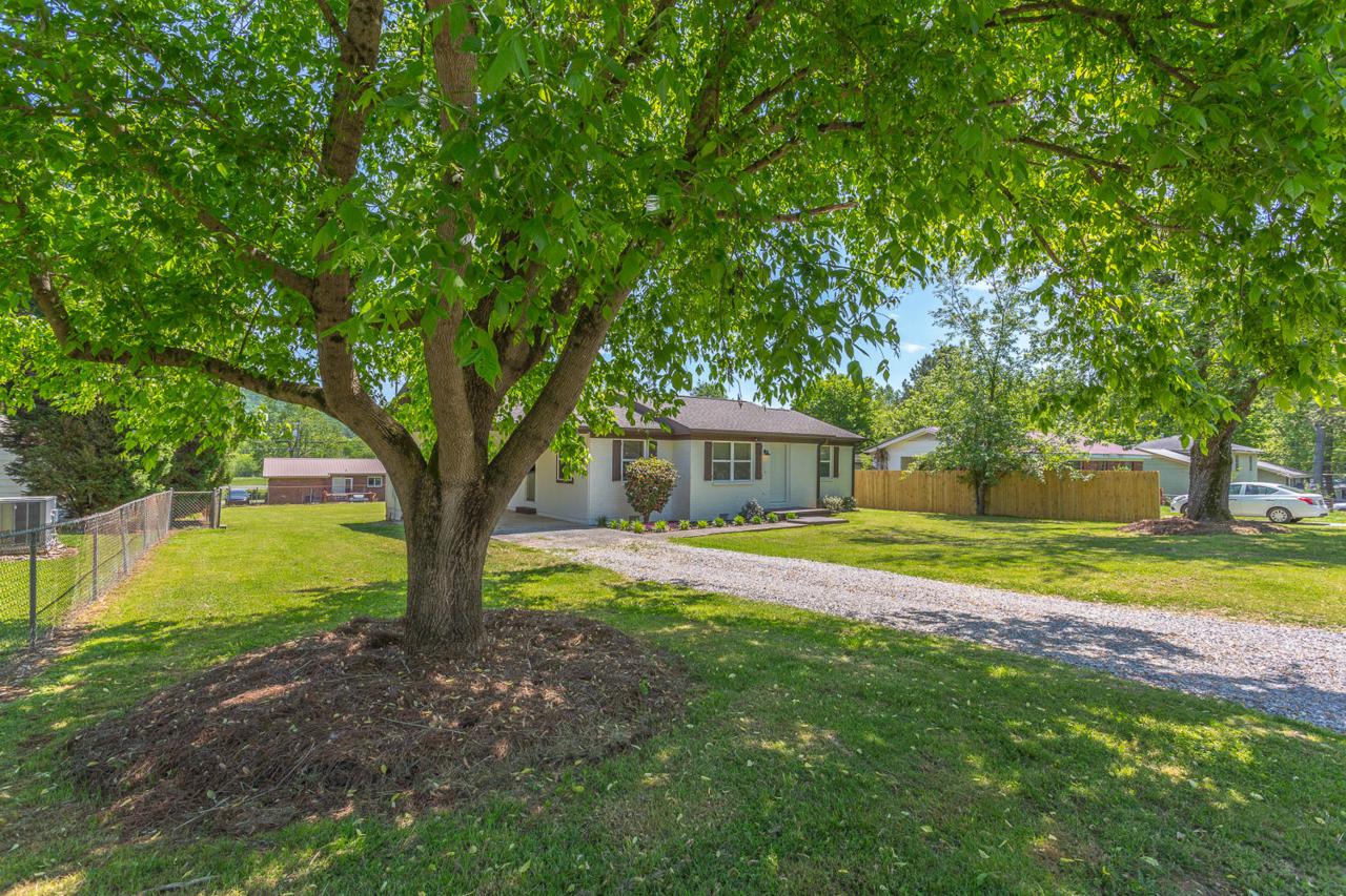 46 Cook St - Photo 1