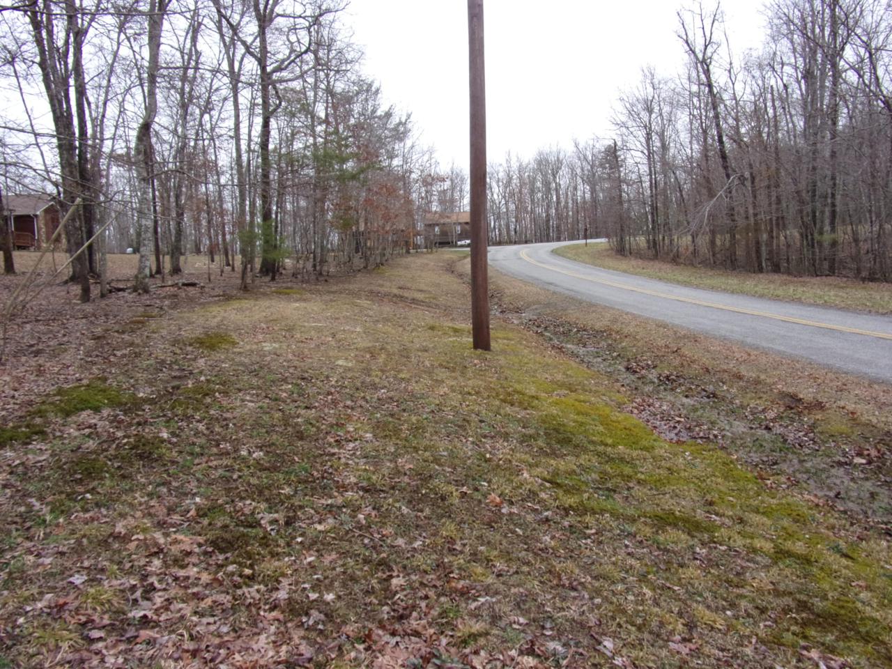 0 E Cove Rd - Photo 1
